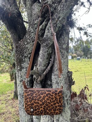 Bolso
